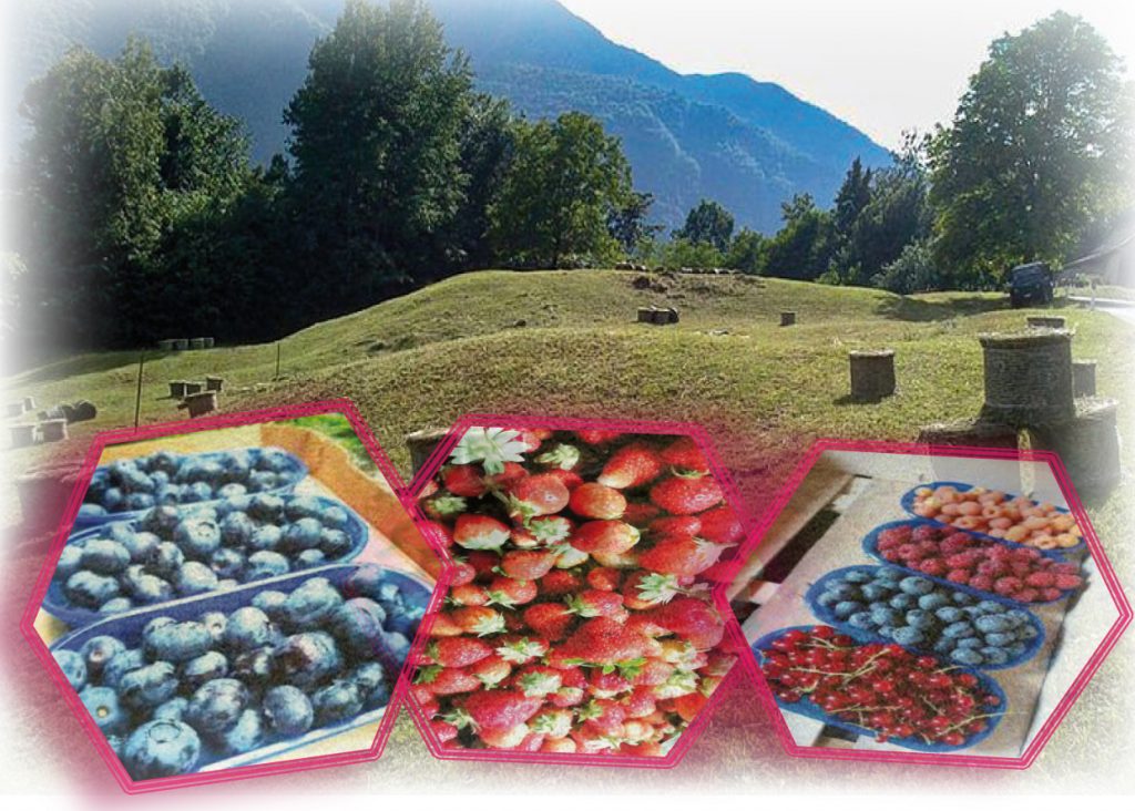 L'azienda e' alle pendici del Monte Cancervo, in una frazione di San Giovanni Bianco (mezz'ora da Bergamo) immersa nella natura.