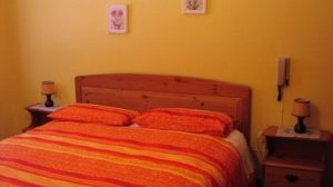 P2010070bis11-768x430-1