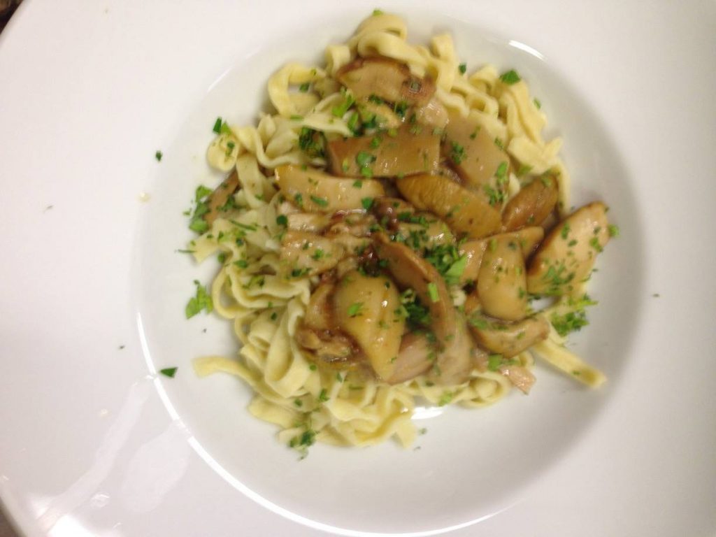 16422892_1307124436016371_5615173213522378104_o-1024x768-1