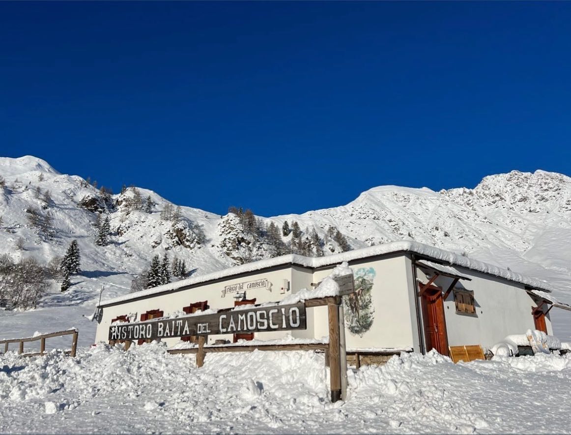 317810794_592860529509328_4467433080888251219_n