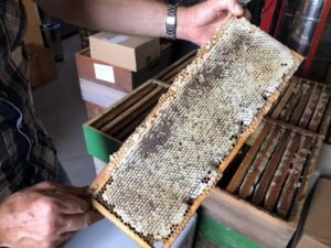 32142208_IMG_0734-650x488-1