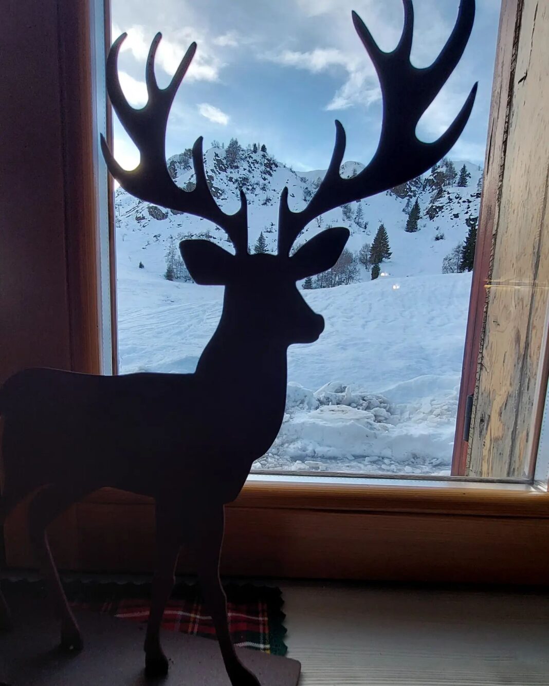 322554058_3353647748181242_3570123326135945927_n-1068x1335