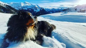 324429550_1227531514499448_4381467017049310791_n