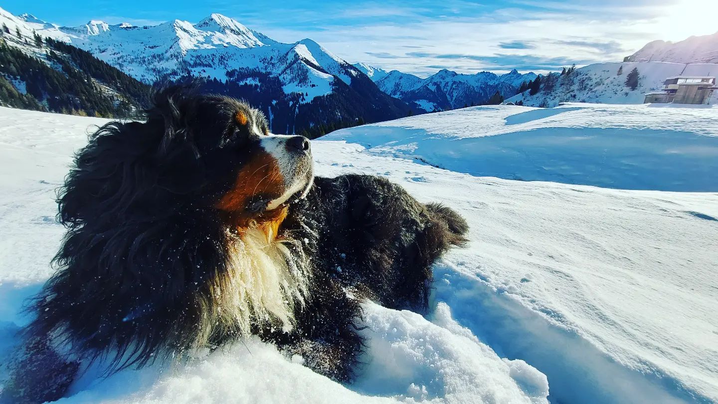 324429550_1227531514499448_4381467017049310791_n