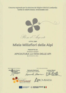 Api-2023-1a-1068x1510