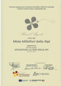 Api-2023-3a-768x1086