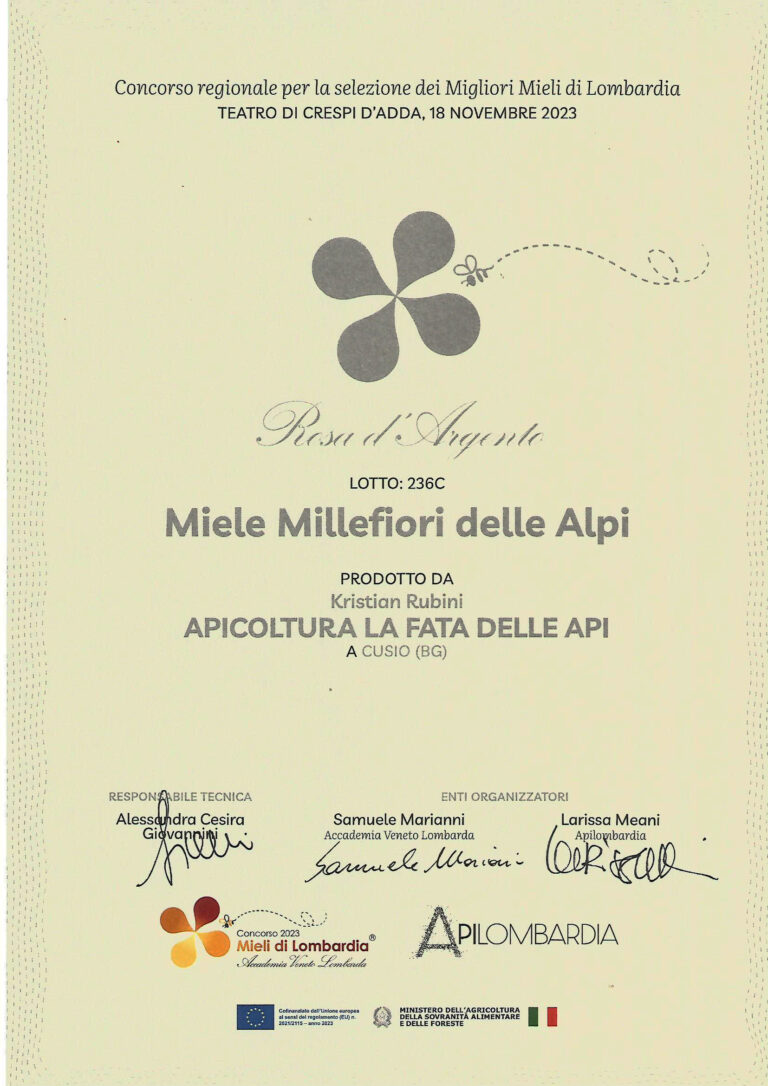 Api-2023-3a-768x1086