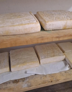 Az.Agricola-Panda-formaggio-1