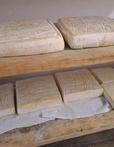 Az.Agricola-Panda-formaggio-1