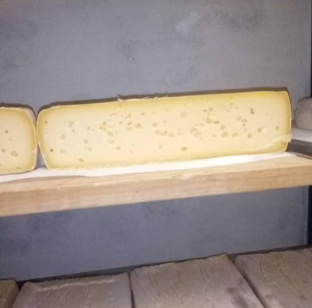 Az.Agricola-Panda-formaggio-2