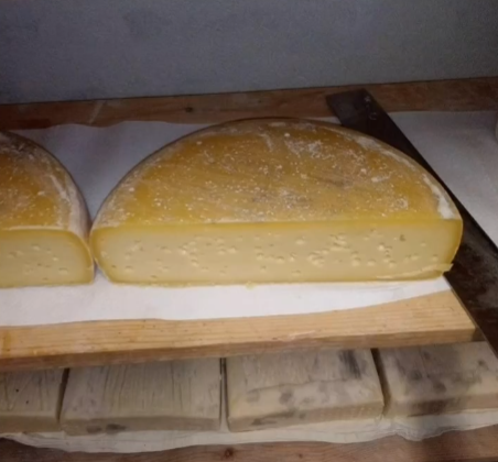 Az.Agricola-Panda-formaggio-3