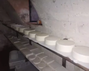 Az.Agricola-Panda-formaggio-4