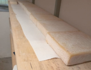 Az.Agricola-Panda-formaggio-6