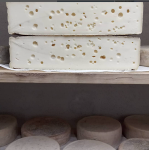Az.Agricola-Panda-formaggio-7