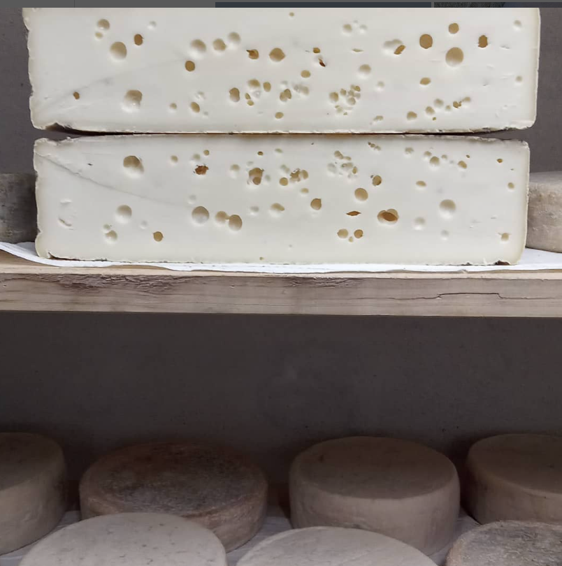 Az.Agricola-Panda-formaggio-7