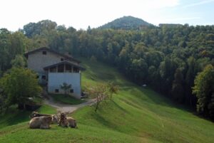 azienda_agricola_grigis_maria_ornella_1