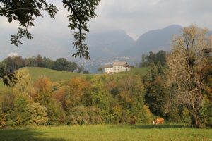 azienda_agricola_grigis_maria_ornella_2