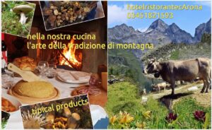 b38a76b9-e609-4552-831a-efd6f63b9162