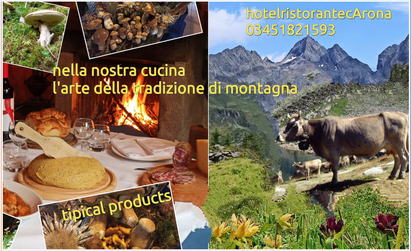 b38a76b9-e609-4552-831a-efd6f63b9162