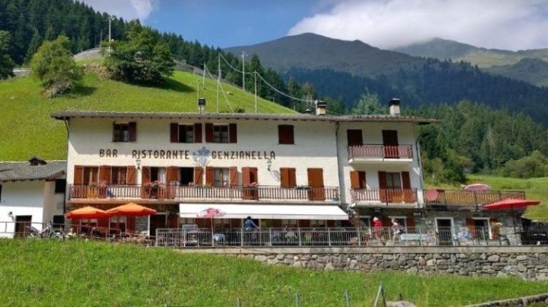 genzianella-per-sito-768x430-1