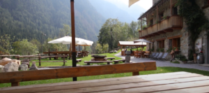 Immagine-2024-06-24-110305