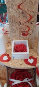 WhatsApp Image 2026-02-06 at 14.21.57