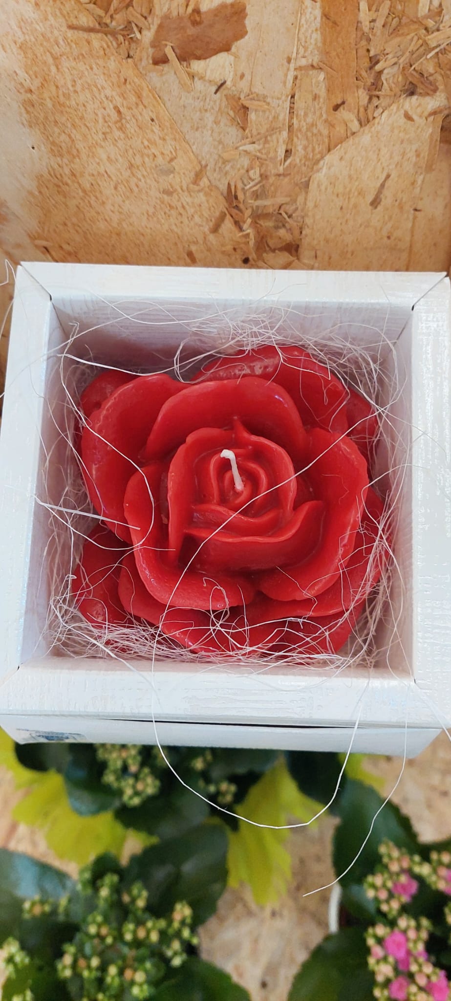 WhatsApp Image 2026-02-06 at 14.21.58