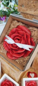 WhatsApp Image 2026-02-06 at 14.21.59