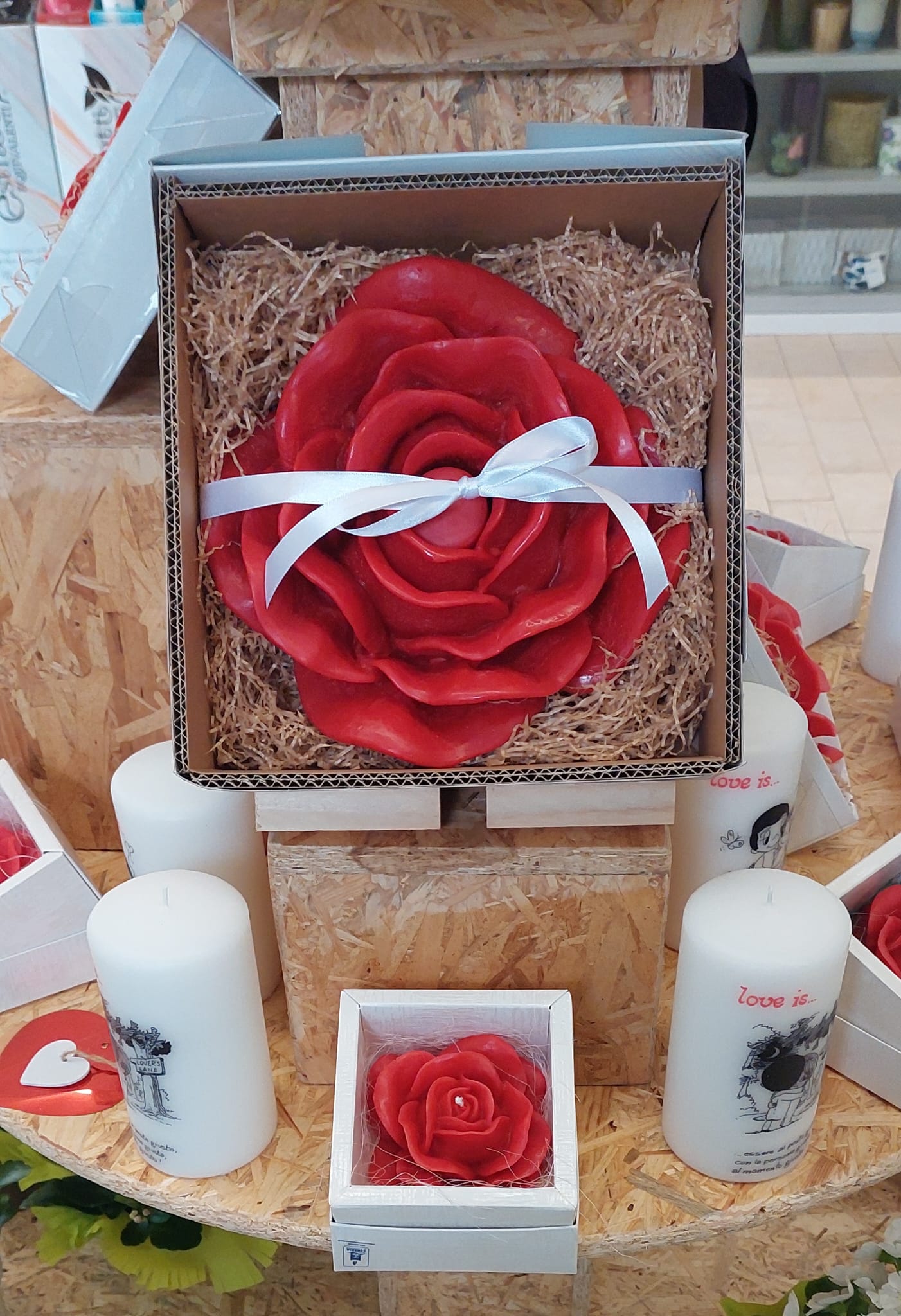 WhatsApp Image 2026-02-06 at 14.21.5d7