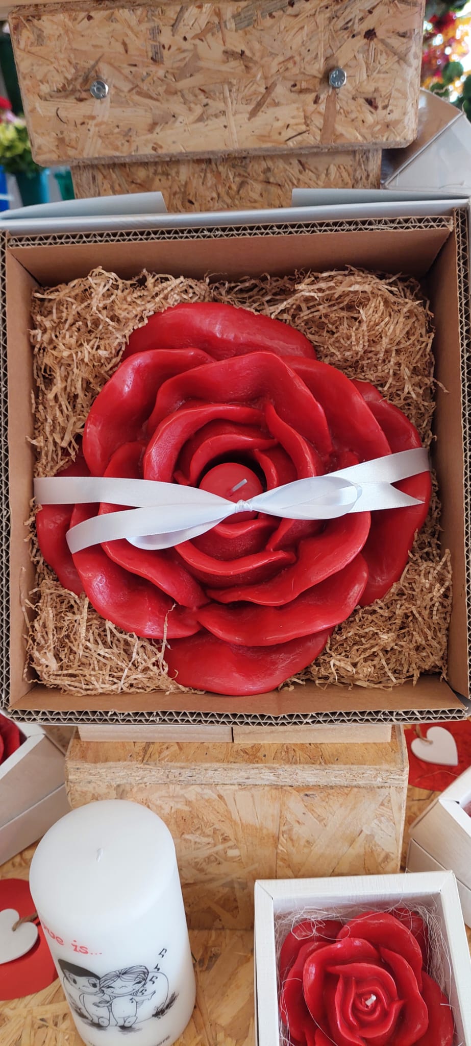 WhatsApp Image 2026-02-06 at 14.22.00