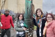 Frutticoltori brembani, distribuite 1.500 piantine: l’associazione cresce