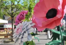 Weekend pasquale: Flora e Arte a San Pellegrino, ultime discese nelle stazioni sciistiche